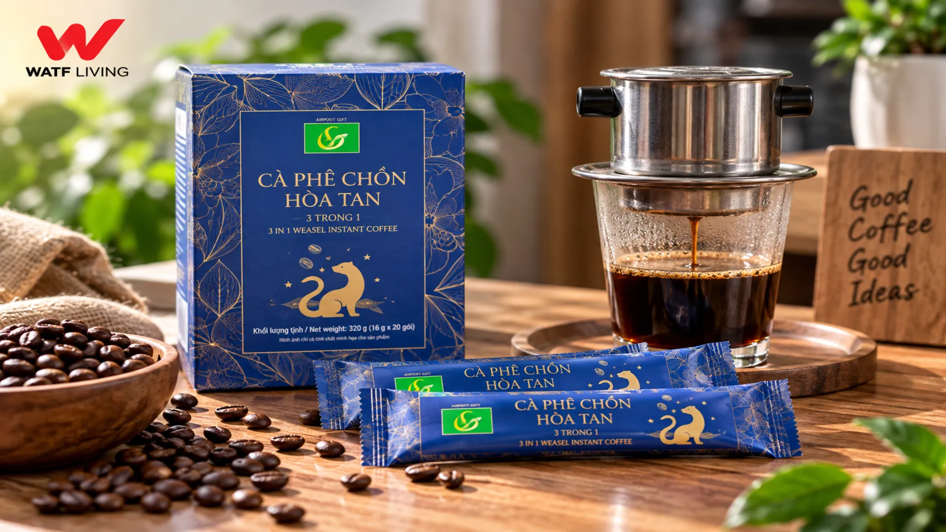 Robusta và Arabica mang những đặc trưng hương vị khác nhau; hiểu rõ từng giống hạt giúp chọn loại cà phê phù hợp với khẩu vị và cách pha.